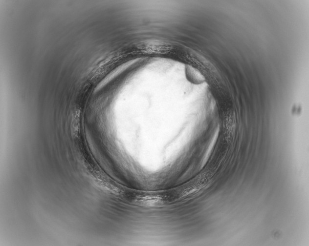 X0000093470554200711021235