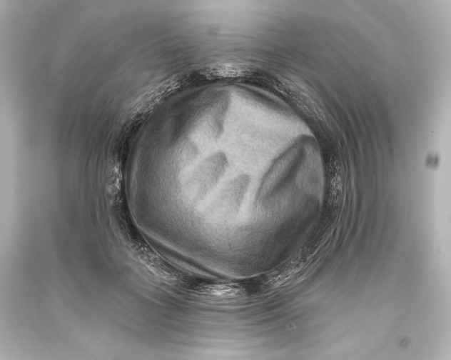 X0000093470555200711021235