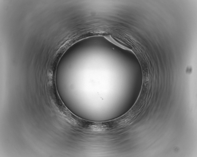 X0000093470556200711021235