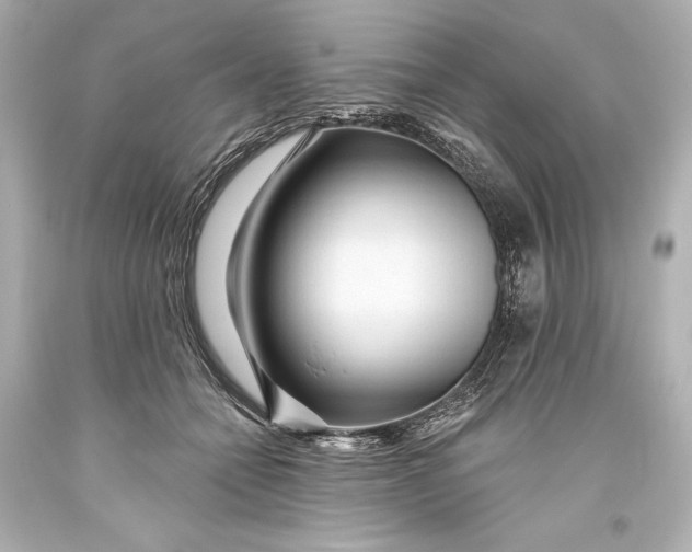 X0000093470558200711021235