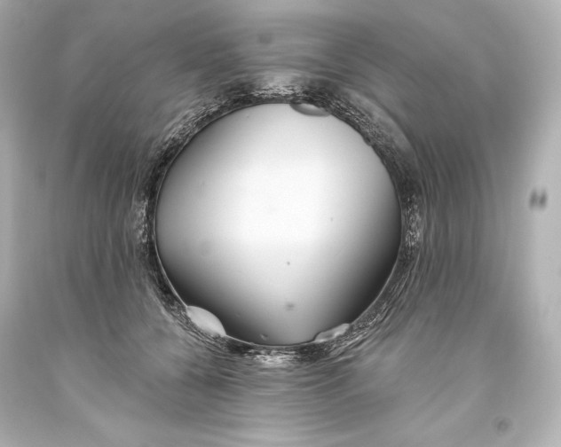 X0000093470560200711021235