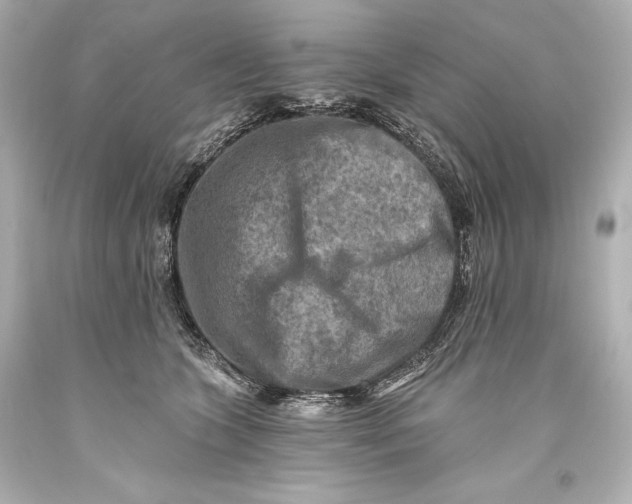 X0000093470563200711021235