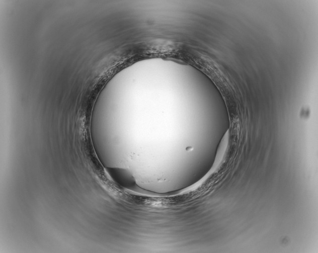 X0000093470564200711021235