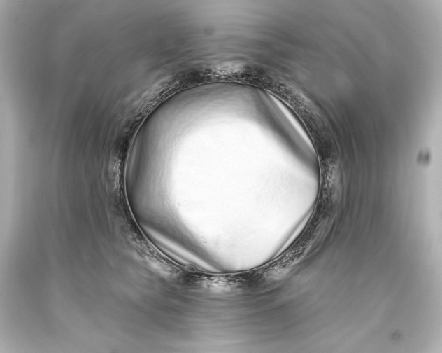 X0000093470565200711021235