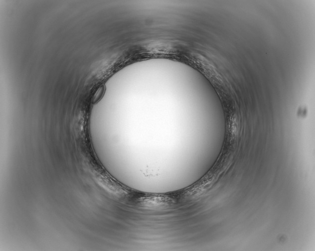 X0000093470567200711021235