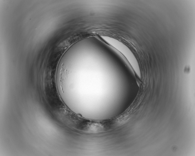 X0000093470572200711021235