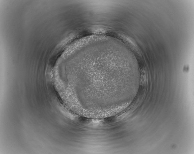 X0000093470573200711021235