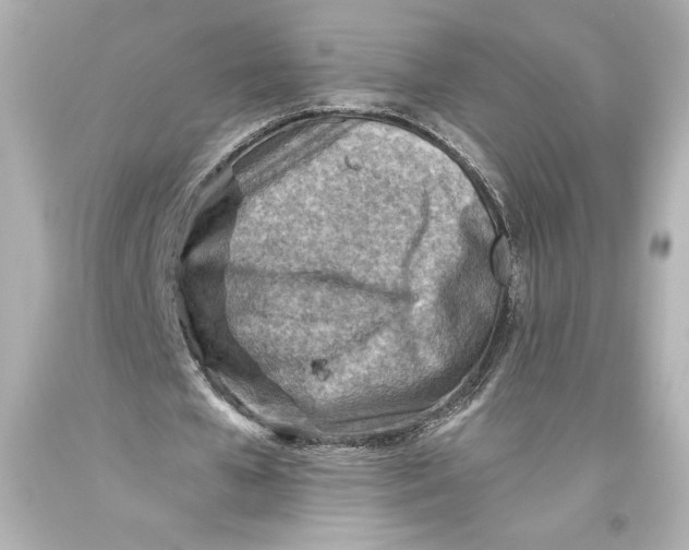 X0000093470577200711021234