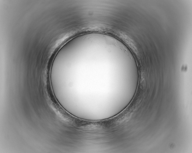 X0000093470578200711021234