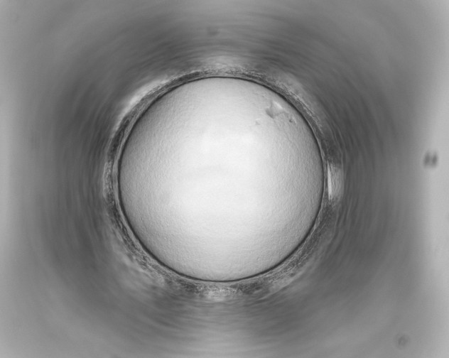 X0000093470579200711021234