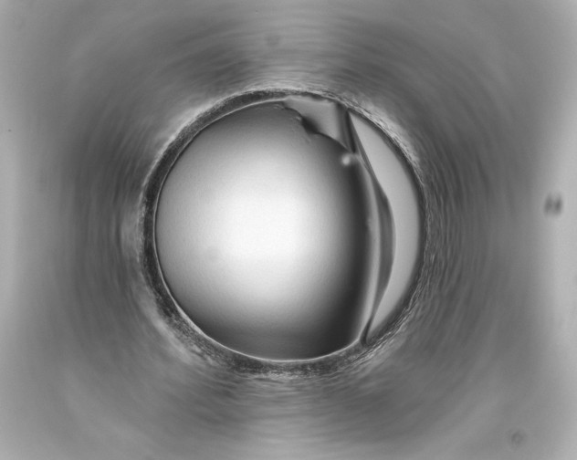 X0000093470580200711021234