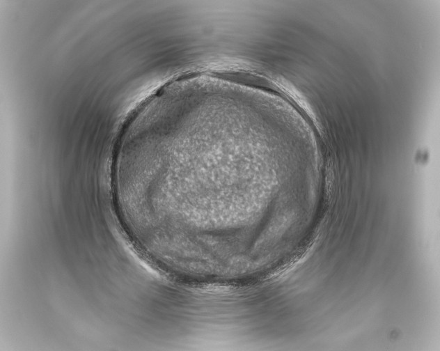 X0000093470581200711021234