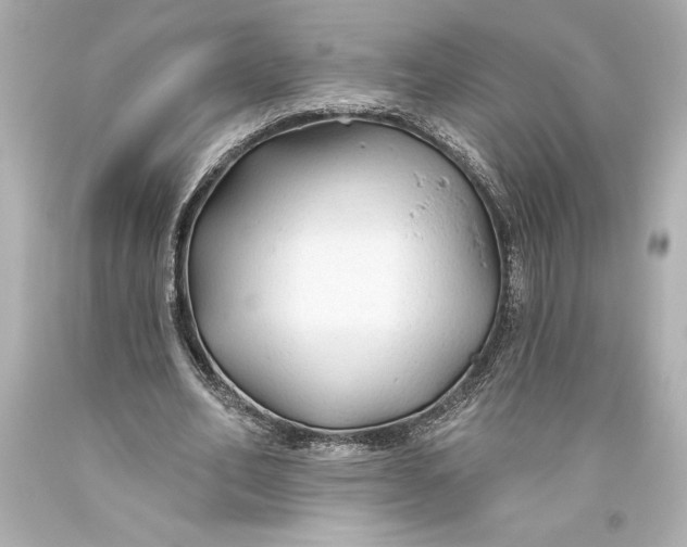 X0000093470582200711021234