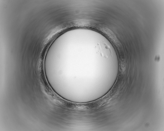 X0000093470583200711021234