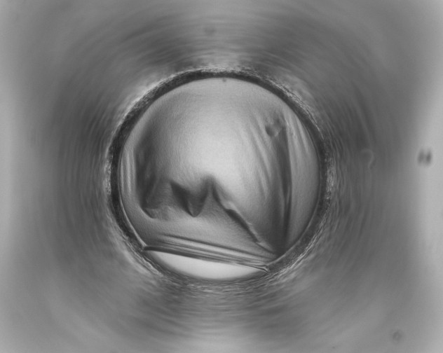 X0000093470584200711021234