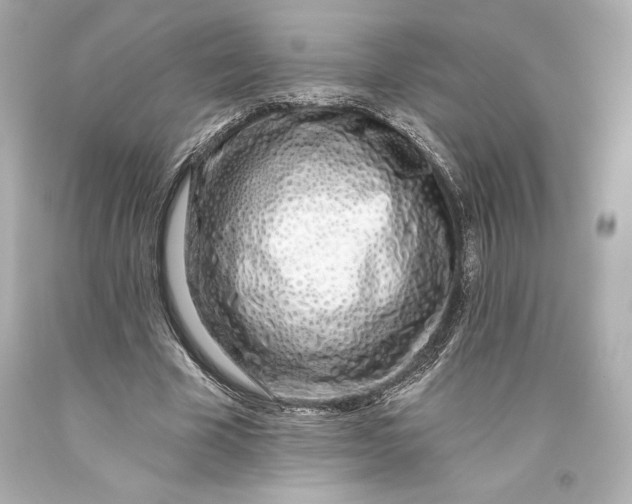 X0000093470585200711021234