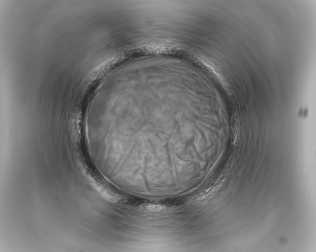 X0000093470590200711021234