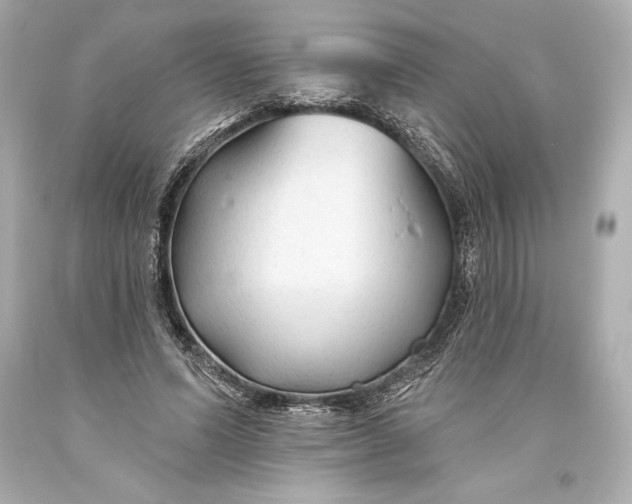 X0000093470591200711021234