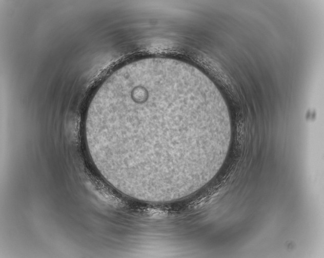 X0000093470592200711021234