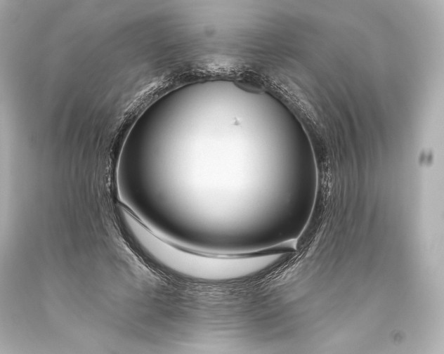 X0000093470593200711021234