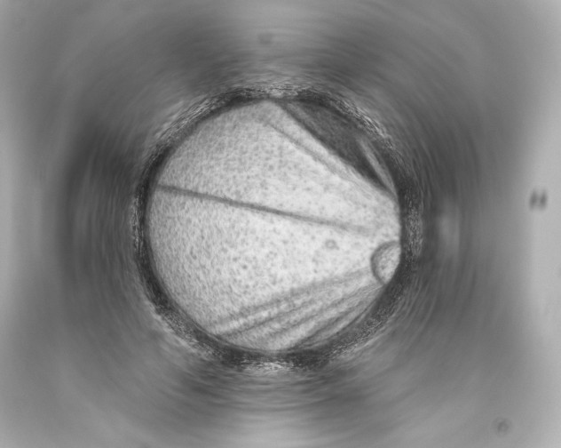 X0000093470594200711021234