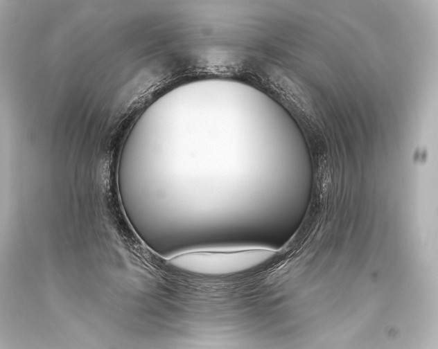 X0000093470595200711021234