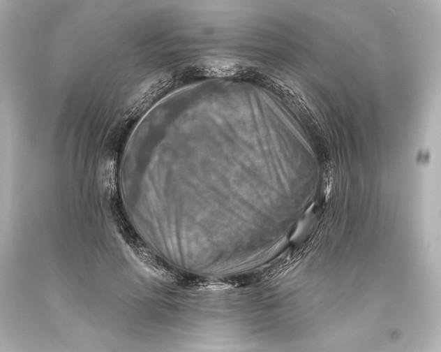 X0000093470598200711021234