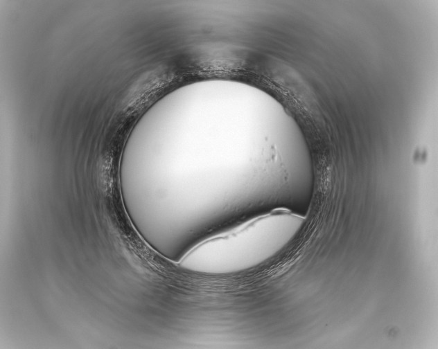 X0000093470599200711021234