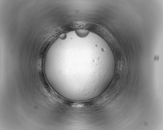 X0000093470602200711021234