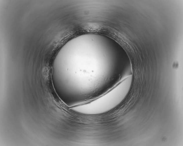 X0000093470604200711021234