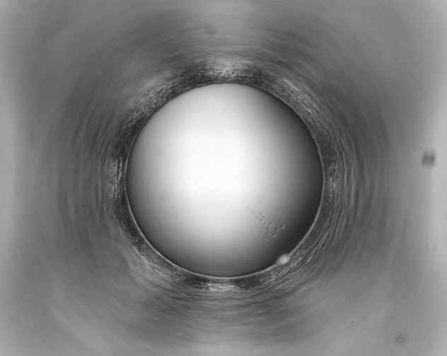 X0000093470605200711021234