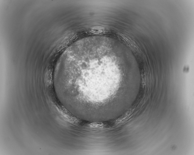 X0000093470606200711021234