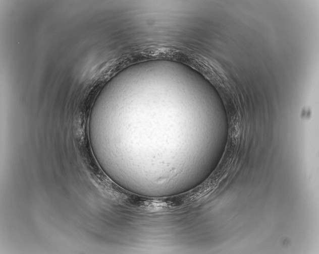 X0000093470607200711021234