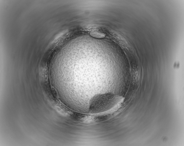 X0000093470609200711021234