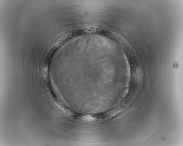 X0000093470610200711021234