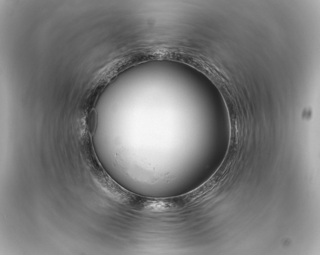 X0000093470611200711021234