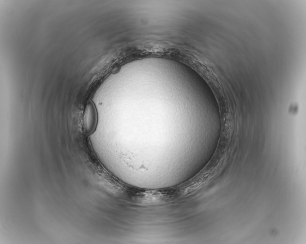 X0000093470612200711021234