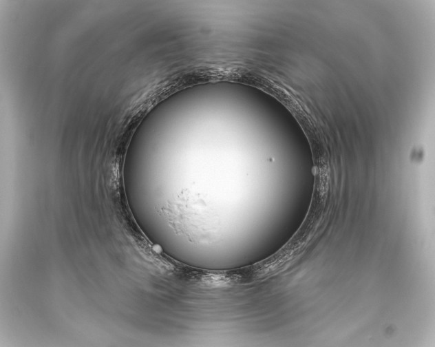 X0000093470613200711021234