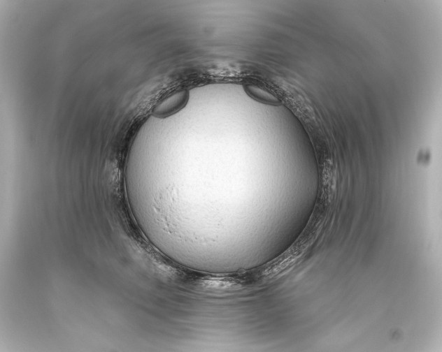 X0000093470614200711021233