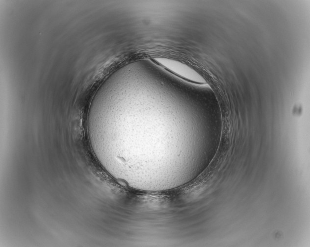 X0000093470615200711021233