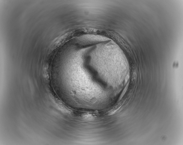 X0000093470616200711021233