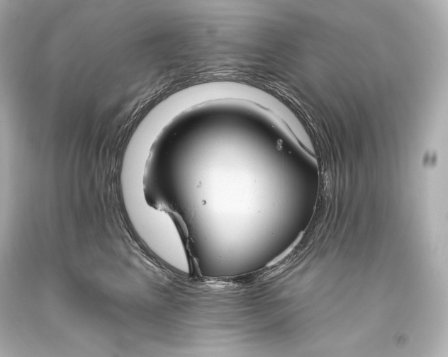 X0000093470617200711021233