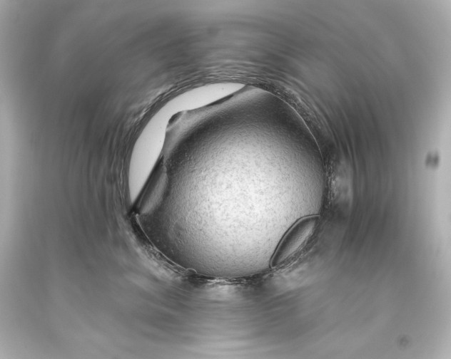 X0000093470620200711021233