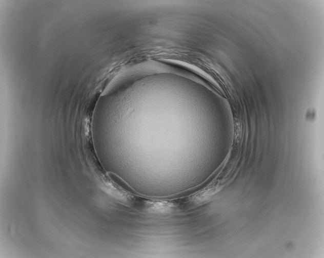 X0000093470621200711021233