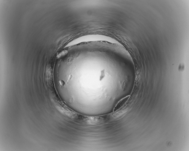 X0000093470623200711021233