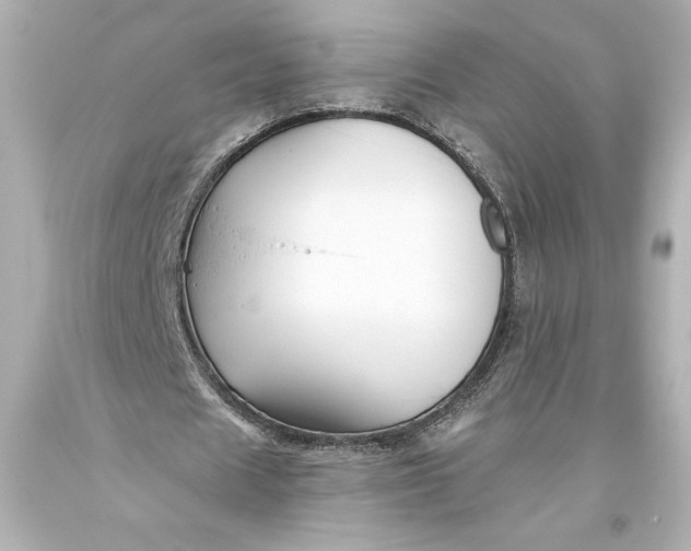 X0000093470625200711021233