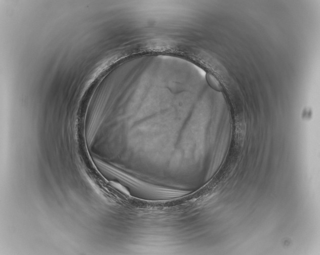 X0000093470626200711021233