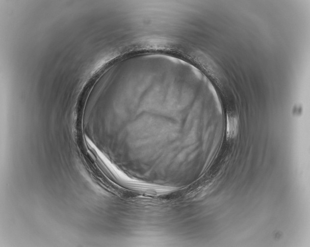 X0000093470627200711021233