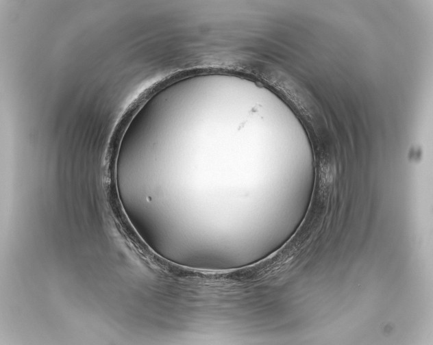 X0000093470628200711021233