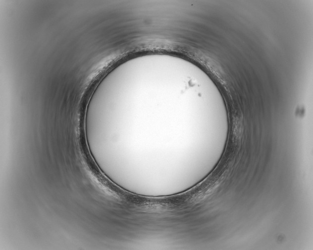 X0000093470629200711021233